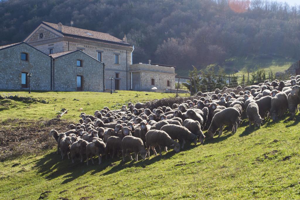 Masseria Salecchia Bovino Exterior foto